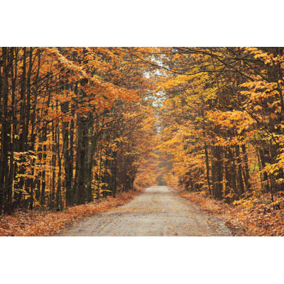 " Autumn Country Road "
