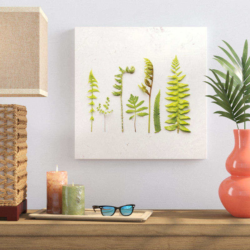 Flat Lay Ferns IV by Felicity Bradley - No Frame Print on Canvas, 51cm H x 51cm W
