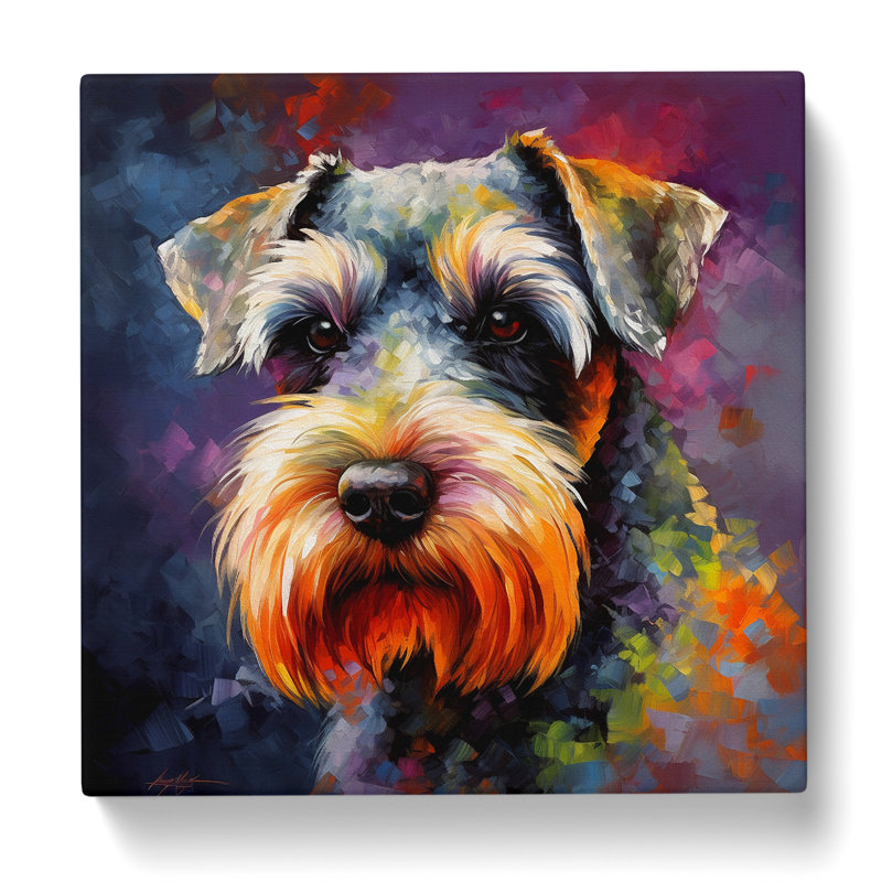 Schnauzer Color Field Painting - Wrapped Canvas, 50cm H x 50cm W x 3cm D