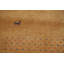 Tapis tribal Gabbeh 5 x 8