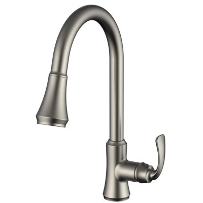 Daweier Pull Out Kitchen Faucet