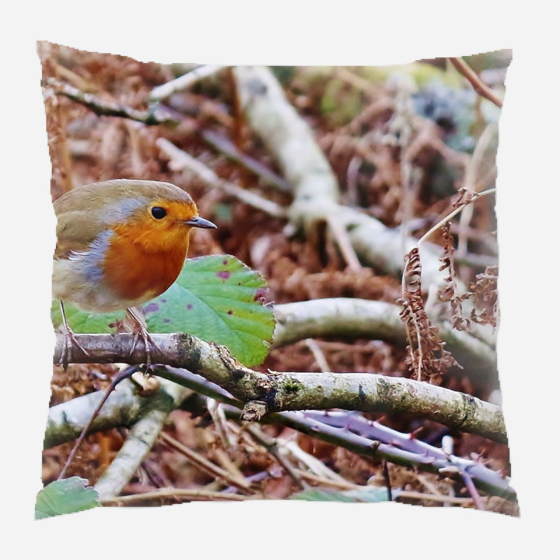 Housse et insert de coussin carré Manos Robin, Microsuède, Intérieur