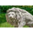 Symmetrical 2 Piece Lions Garden Statue Set