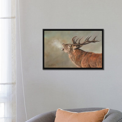 «Red Deer Stag Early Morning» par David Stribble, impression sur toile tendue