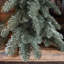 Artificial Christmas Tree-1914911824