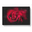 Drops Upon A Red Rose - Wrapped Canvas-56643744