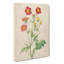 Geum Flowers by Pierre-Joseph Redoute - Wrapped Canvas-55324219