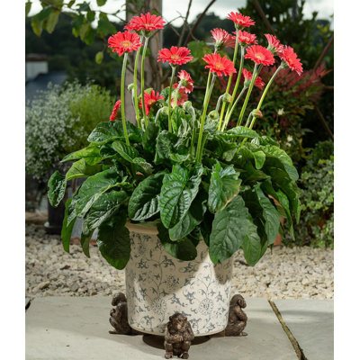 Goodfellow Metal Planter Feet