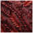 Dark Red Dark Red