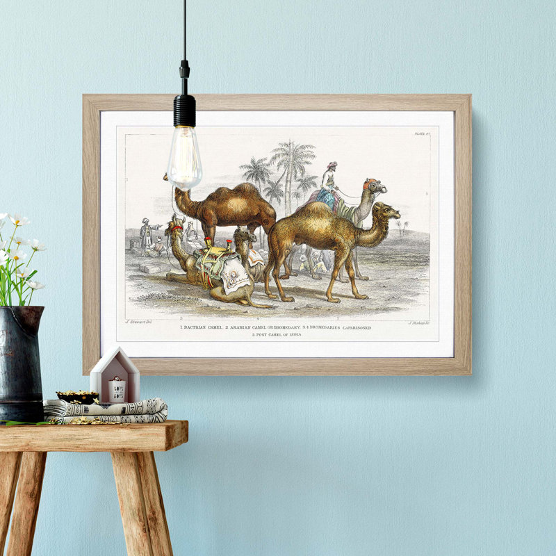 Camels by Oliver Goldsmith - Picture Frame Painting Print, Oak Framed, 48cm H x 65cm W x 2cm D