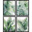 Plantes de la jungle tropicale, feuilles vertes, 4 pièces-97782295-97782299