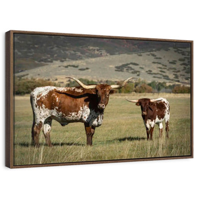 Texas Longhorn And Its Calf