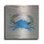 Art luxueux en métal «Fresh From The Sea I» par Courtney «Fresh From The Sea I» par Courtney Prahl