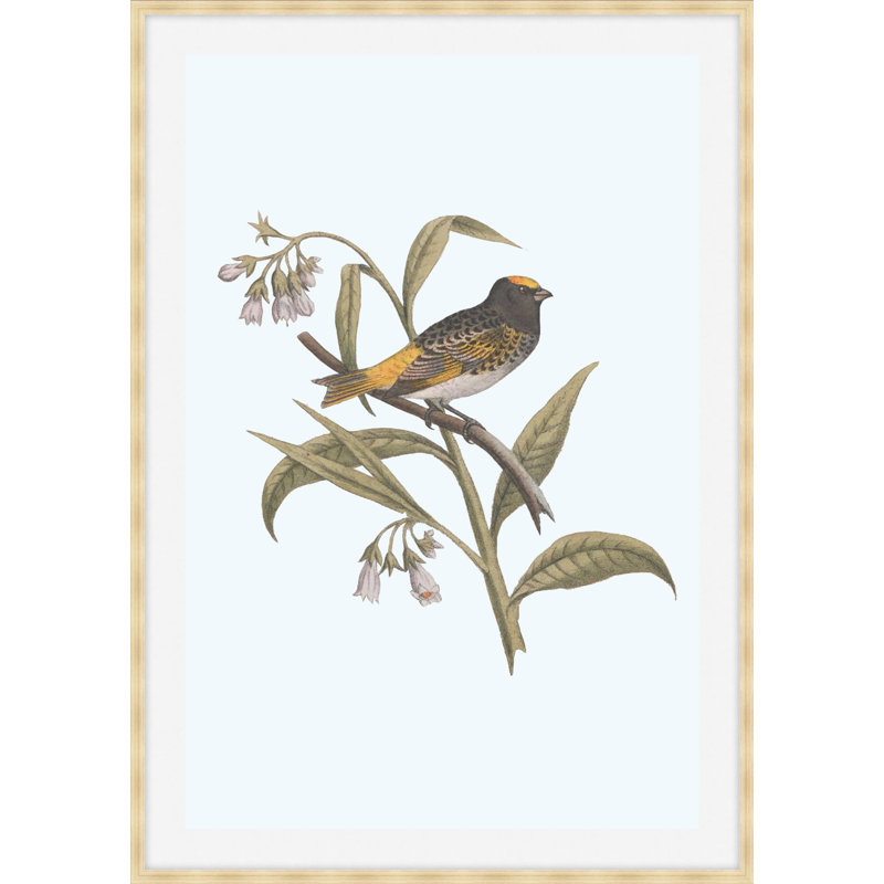Nesting Navigators Blue 5 Print, 38.75" H x 27.75" W