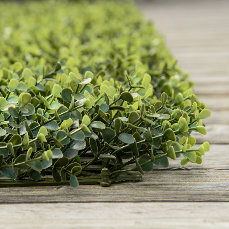 1.5' H x 1.5' W Boxwood Polyester Privacy Screen