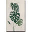 Palmier botanique I - Peinture-1870707874-1853035283