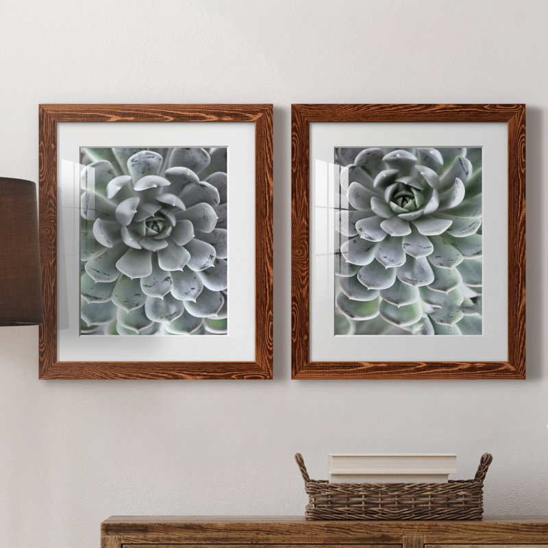 Zen Succulent III - ensemble de 2 reproductions de photos encadrées, Papier avec cadre érable, H 20 po x l 17 po x P 1 po