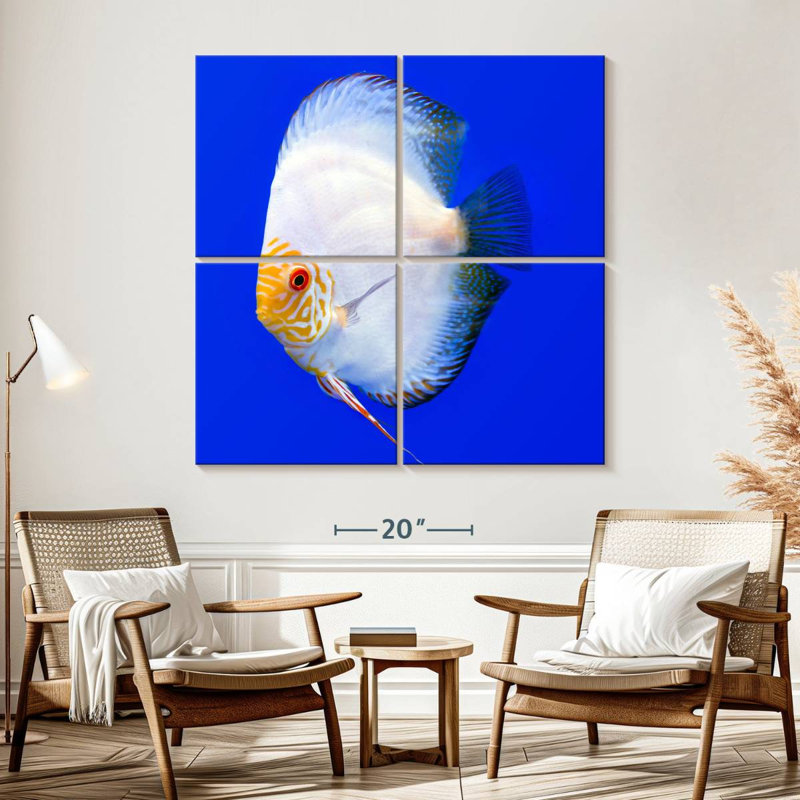 Brampt Pompadour Discus Fish, 57" H x 57" W
