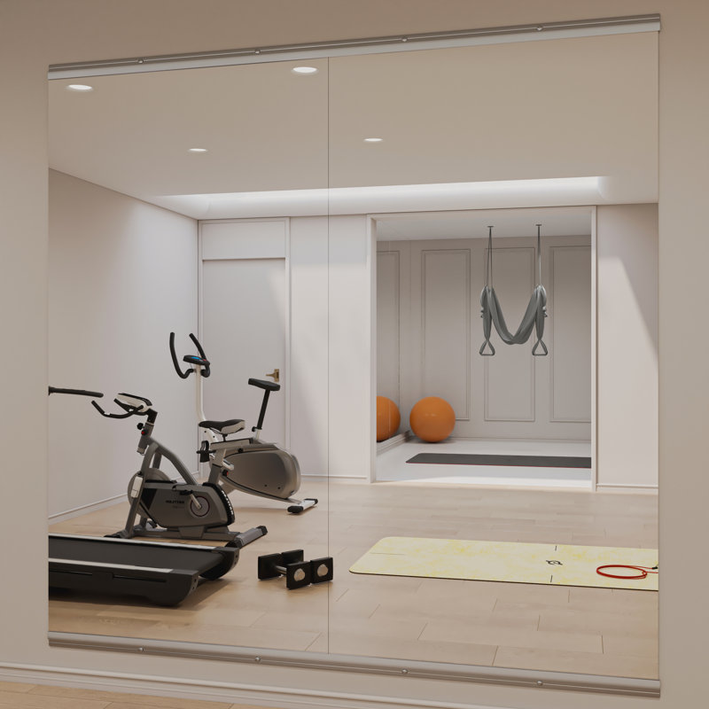Full Length Rectangle Wall Mirror Home Gym Mirror Dance Studio Mirror with Tempered Glass, 47" x 23.5", Sliver