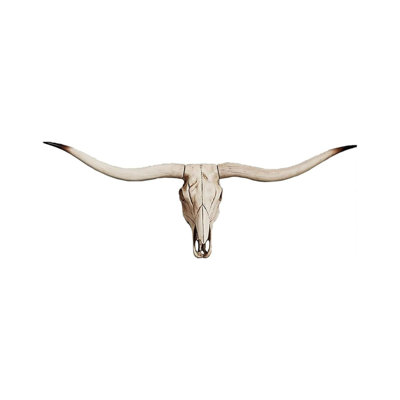 Beige Long Horn Bison Bull Skull Wall Decor Handmade Farmhouse Decor Wall Sculpture