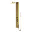 Rector EZDivert™ 2-Jet Shower System