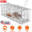 Cage à piège à rat pliable Humane Live