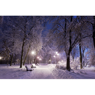 " Park Covered In Snow "
