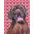 Labrador (brun)