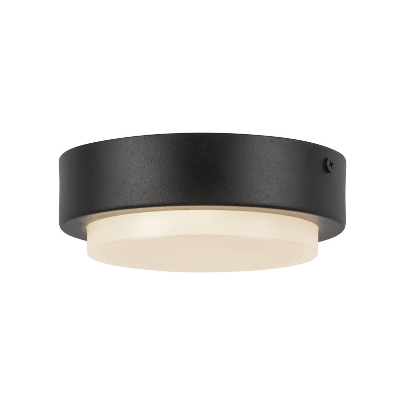 Bailey 5-in Black dimmable LED Outdoor Ceiling Light, Matte Black, Matte Black