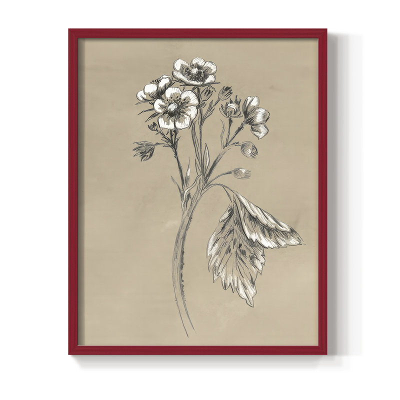 Reproduction encadrée rétro en botanique II, Rouge, H 15 po x l 12 po