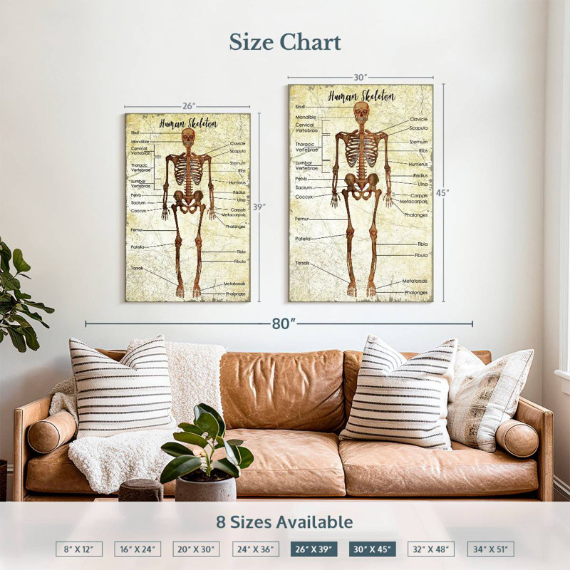 Tableau des squelettes humains Keiri, H 39 po x l 26 po