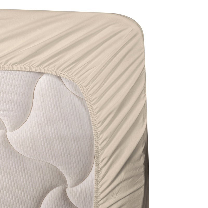 Ambesonne Tropical Sheet SetPalm Leaf Boho Pattern Pale Coffee Umber Blush, Twin Sheet Set with 1 Pillowcase