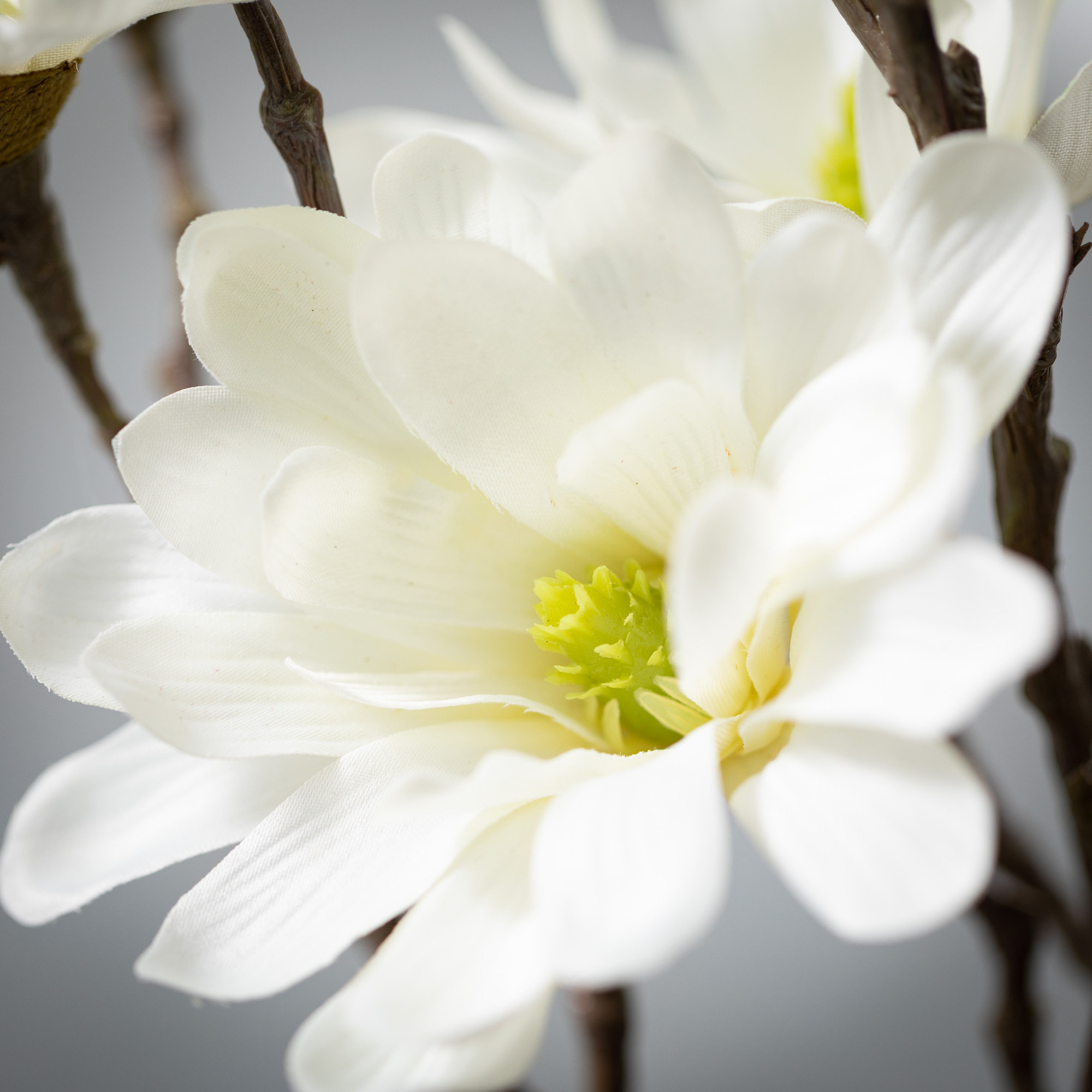 Magnolia Sprays, White