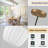 1 - Light Single Pendant