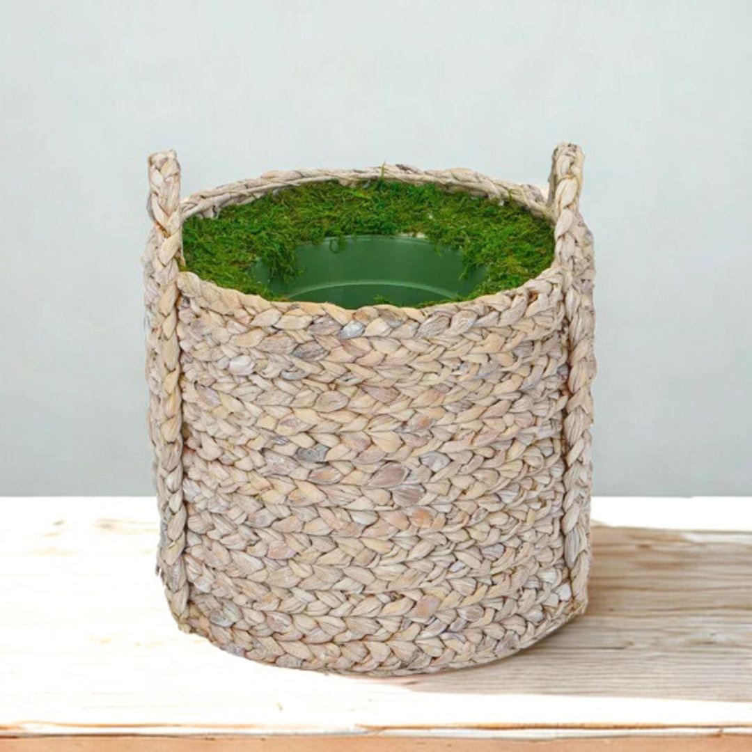 Brumfield Rattan Pot Planter Bay Isle Home™ 