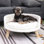 Canapé-lit pour chien avec coussin rembourré amovible Nott Dog