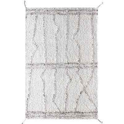 Moroccan Area Rug