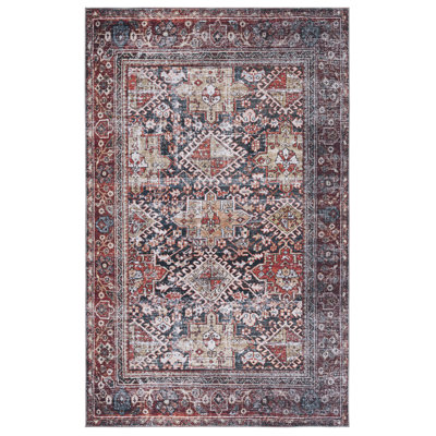 Allan Washable Oriental Indoor Rug