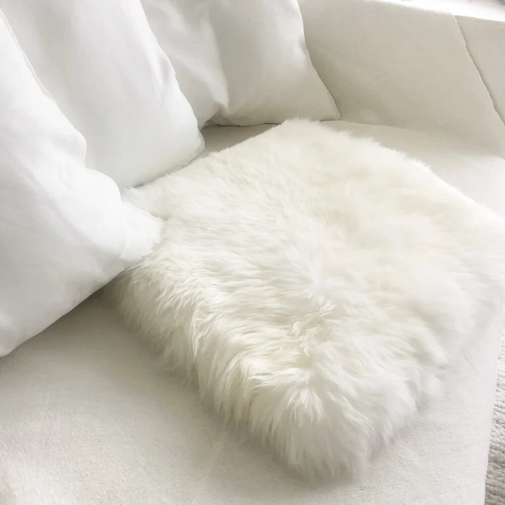 Indoor Seat/Back Cushion Mercer41 Fabric: White