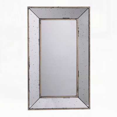 Miroir mural ou plateau décoratif traditionnel 16,5 x 24 po
