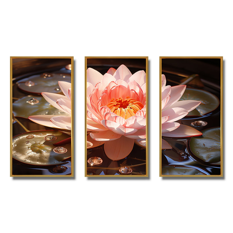 Nénuphars roses et roses, Cadre flottant doré, H 28 po x l 36 po x P 1 po