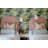 Plug-in Swing Arm Sconce by Tali Roth-238911822