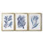 Seaweed Under Water I - Toile tendue avec châssis sur mesure - 3 pièces-117230465-117230470