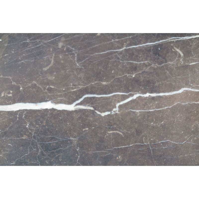 18 in. x 18 in. Polished Marble Tile