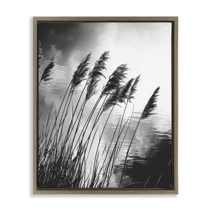  «Stark Contrast Wheat Floater» par Petal Prints Design, H 21 po x l 17 po, Cadre flottant orme Montalcino