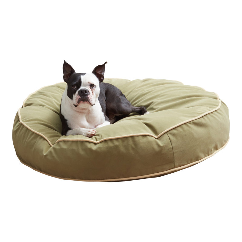 Lit pour chien Buckhead, Mousse, Moyen (l 36 po x P 36 po x H 6 po)