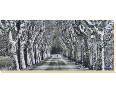 Ferrua - Wrapped Canvas Print