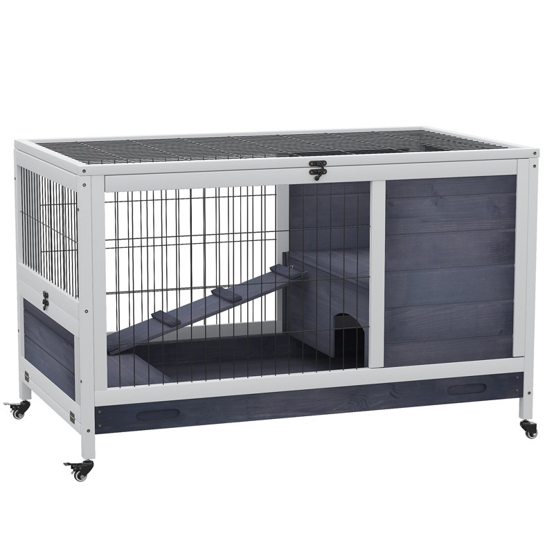 Cage à lapin avec rampe Bernece