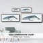 Baleine I - toile encadrée-619825213