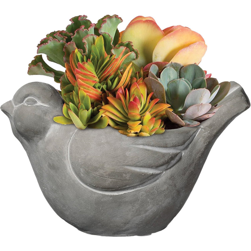Derwin Pot Planter, 5.5" H x 5.25" W x 8.75" D, Natural